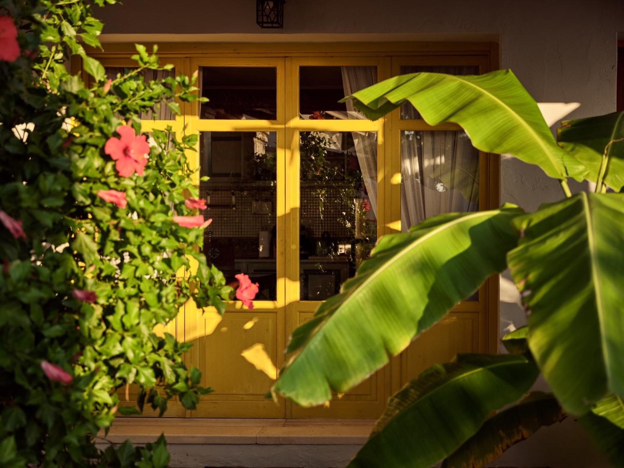 Zakynthos Villas Vasilikós Exterior foto